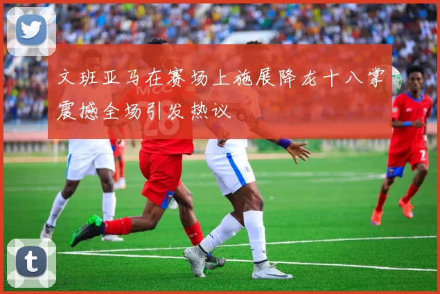 文班亚马在赛场上施展降龙十八掌震撼全场引发热议